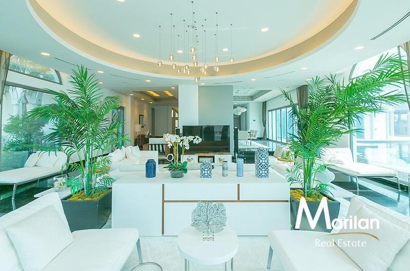 Genuine tip villa | VIP K Frond